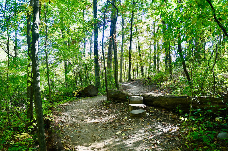 DTE Energy Foundation Trail